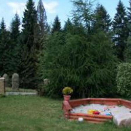 Willa Cetynka Zakopane Bagian luar foto